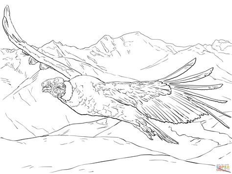 Dibujo de Cóndor andino volando para colorear | Dibujos: Aprender como Dibujar Fácil con este Paso a Paso, dibujos de Un Condor, como dibujar Un Condor paso a paso para colorear