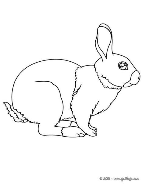 Tiernos Conejo Animado Para Colorear - páginas para colorear: Dibujar Fácil con este Paso a Paso, dibujos de Un Conejito Realista, como dibujar Un Conejito Realista para colorear