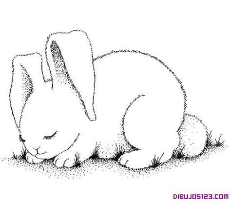 Dibujo de un dulce conejo para colorear: Aprende a Dibujar Fácil, dibujos de Un Conejo Dormido, como dibujar Un Conejo Dormido para colorear e imprimir
