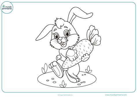 Dibujar Animales Herbivoros Para Colorear Conejo: Aprender como Dibujar Fácil, dibujos de Un Conejo Dormido, como dibujar Un Conejo Dormido para colorear