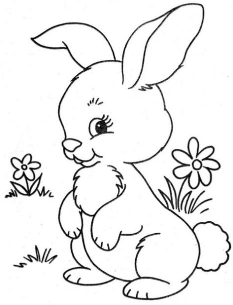 Dibujos de Conejos para colorear ★ Imágenes para: Aprender a Dibujar Fácil, dibujos de Un Conejo Muy, como dibujar Un Conejo Muy para colorear e imprimir