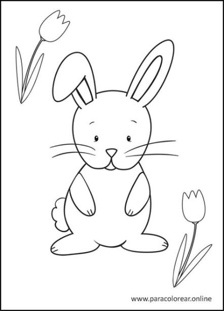 Los mejores Dibujos de Conejos para Colorear Imprimir y: Aprender a Dibujar y Colorear Fácil, dibujos de Un Conejo Muy, como dibujar Un Conejo Muy para colorear