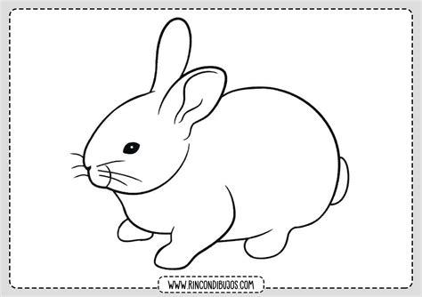 Dibujos de Conejos para colorear | Rincon Dibujos: Aprende a Dibujar Fácil con este Paso a Paso, dibujos de Un Conejo Niños, como dibujar Un Conejo Niños paso a paso para colorear