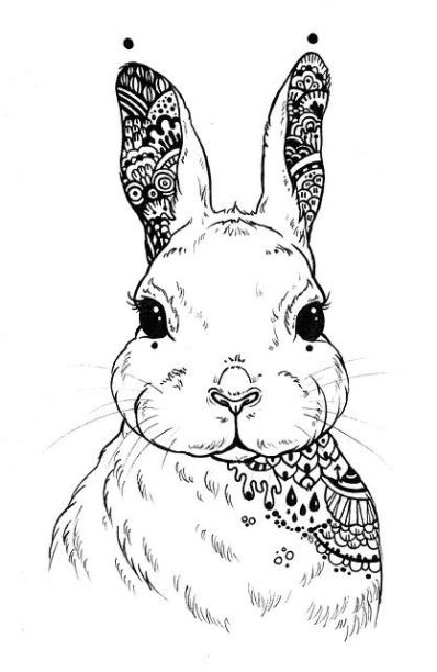 ᐈ PINTAR UN DIBJO DE CONEJO 【'ω'】 » CONEJO RED: Dibujar Fácil con este Paso a Paso, dibujos de Un Conejo Realista, como dibujar Un Conejo Realista para colorear e imprimir