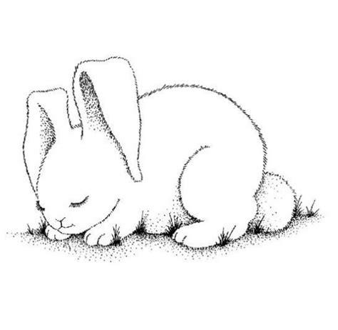 Conejos para colorear: Aprender como Dibujar Fácil, dibujos de Un Conejo Realista, como dibujar Un Conejo Realista paso a paso para colorear