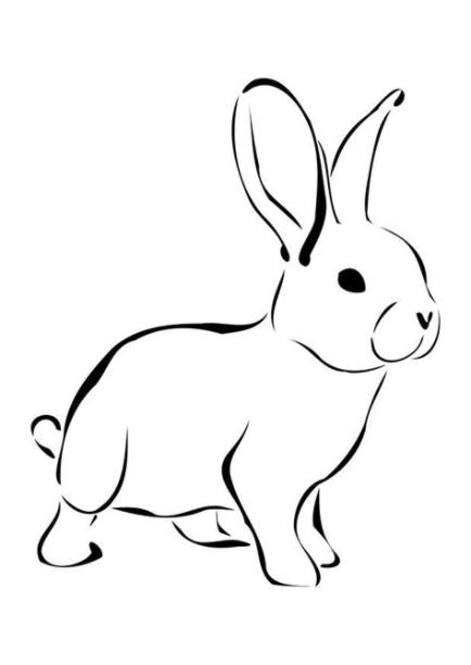 Dibujo para colorear conejo - Img 27276: Dibujar Fácil, dibujos de Un Conejo Realista, como dibujar Un Conejo Realista para colorear
