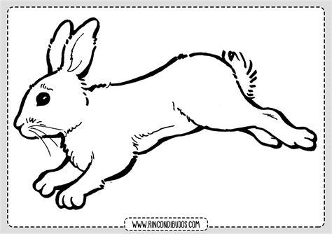 Imprimir y Colorear Dibujo de conejo - Rincon Dibujos: Dibujar Fácil, dibujos de Un Conejo Saltando, como dibujar Un Conejo Saltando para colorear e imprimir