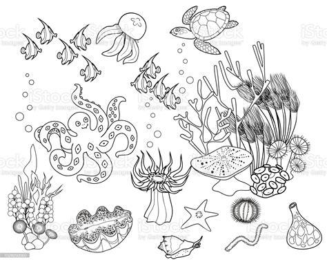 Imagen de Página para colorear. Ecosistema de arrecife de: Aprender a Dibujar Fácil con este Paso a Paso, dibujos de Un Cora, como dibujar Un Cora paso a paso para colorear