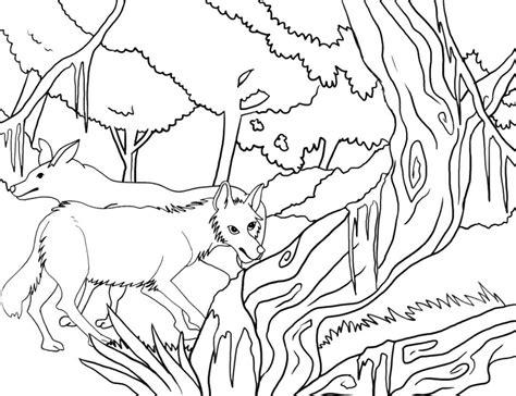Dibujos de Coyote para colorear - Páginas para imprimir: Dibujar Fácil, dibujos de Un Coyote Para Niños, como dibujar Un Coyote Para Niños para colorear e imprimir