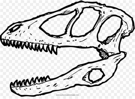 Tyrannosaurus. Deinonychus. Dinosaurio imagen png - imagen: Aprender a Dibujar y Colorear Fácil, dibujos de Un Craneo De Dinosaurio, como dibujar Un Craneo De Dinosaurio para colorear e imprimir