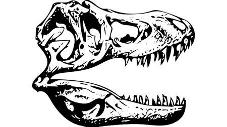 Dibujos geniales y sencillos de dinosaurios para bajar: Aprende como Dibujar y Colorear Fácil con este Paso a Paso, dibujos de Un Craneo De Dinosaurio, como dibujar Un Craneo De Dinosaurio para colorear