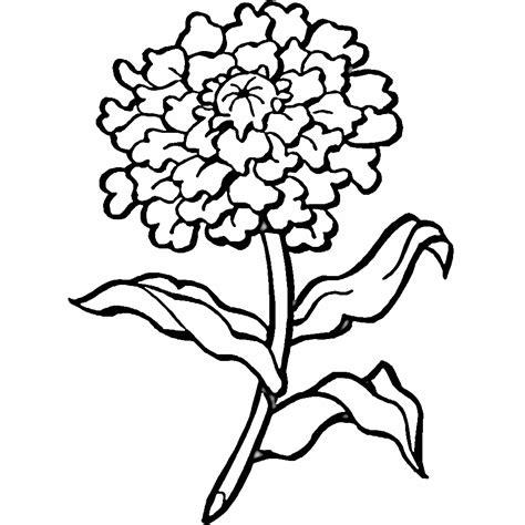 Dibujos de crisantemos para colorear e imprimir: Dibujar Fácil con este Paso a Paso, dibujos de Un Crisantemo, como dibujar Un Crisantemo para colorear