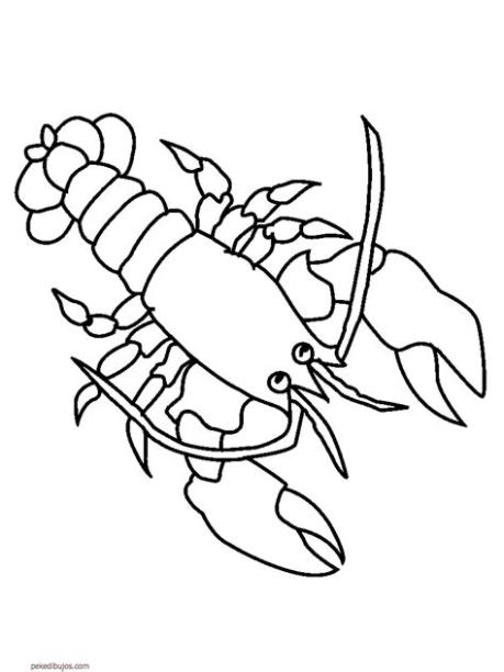 Dibujos de crustáceos para colorear: Dibujar Fácil, dibujos de Un Crustaceo, como dibujar Un Crustaceo para colorear e imprimir