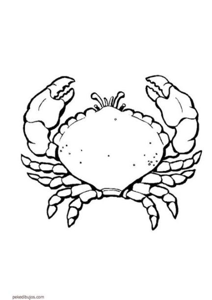 Dibujos de crustáceos para colorear: Aprende a Dibujar Fácil con este Paso a Paso, dibujos de Un Crustaceo, como dibujar Un Crustaceo paso a paso para colorear