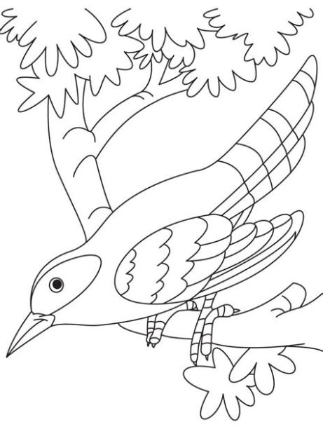 Desenho de Lindo cuco para colorir - Tudodesenhos: Aprende como Dibujar y Colorear Fácil, dibujos de Un Cuco, como dibujar Un Cuco para colorear