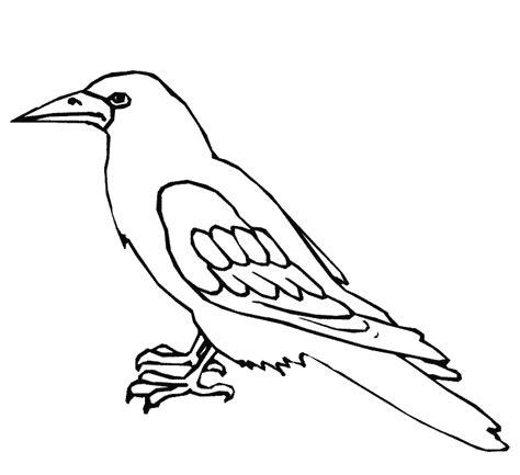 Pinto Dibujos: Cuervo para colorear: Dibujar Fácil con este Paso a Paso, dibujos de Un Cuerbo, como dibujar Un Cuerbo paso a paso para colorear