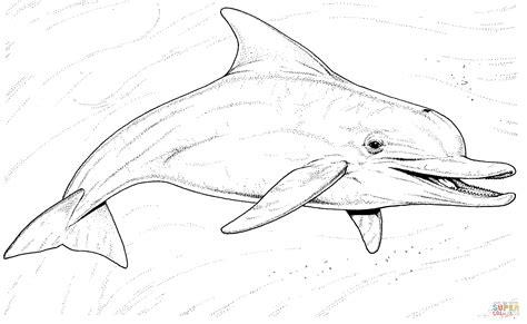 146 dibujos de Delfines para colorear | Oh Kids | Page 1: Aprende como Dibujar y Colorear Fácil con este Paso a Paso, dibujos de Un Delfín Realista, como dibujar Un Delfín Realista para colorear e imprimir