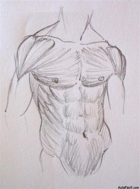 🥇 【 Los músculos IV - Dibujo Anatomía: Aprender como Dibujar y Colorear Fácil, dibujos de Un Deltoide, como dibujar Un Deltoide paso a paso para colorear
