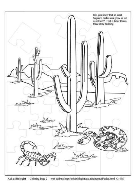 Dibujo para colorear Desierto - Img 3977: Aprende como Dibujar Fácil con este Paso a Paso, dibujos de Un Desierto Para Niños, como dibujar Un Desierto Para Niños paso a paso para colorear
