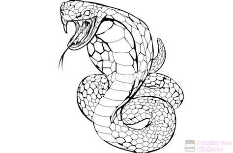 磊【+2750】Los mejores dibujos de Serpientes para: Aprende a Dibujar y Colorear Fácil con este Paso a Paso, dibujos de Un Dibujo Realista, como dibujar Un Dibujo Realista paso a paso para colorear