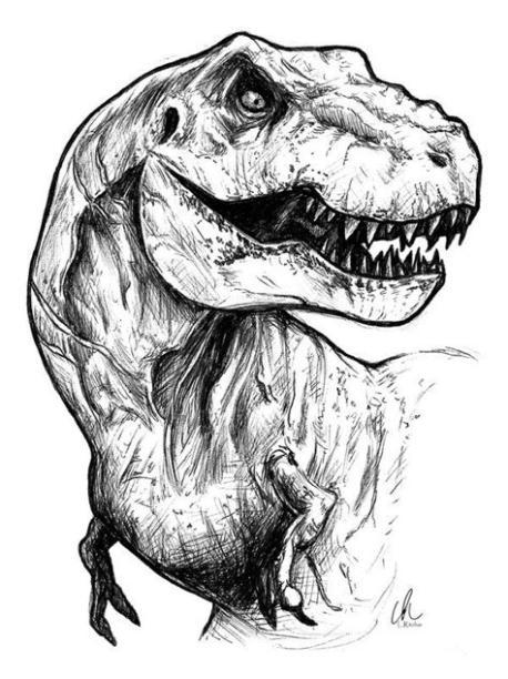 Pin on Draws^^: Dibujar Fácil, dibujos de Un Dinosaurio Realista, como dibujar Un Dinosaurio Realista paso a paso para colorear