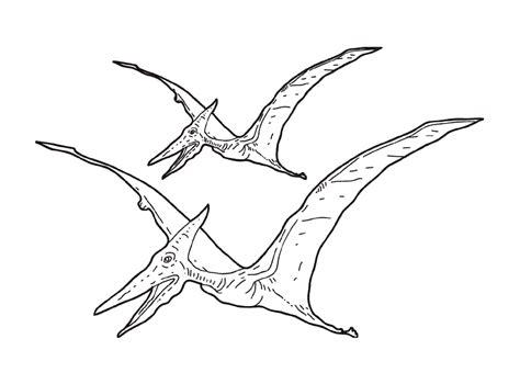 Dinosaurios voladores para colorear - Dibujos para colorear: Dibujar y Colorear Fácil, dibujos de Un Dinosaurio Volador, como dibujar Un Dinosaurio Volador para colorear e imprimir