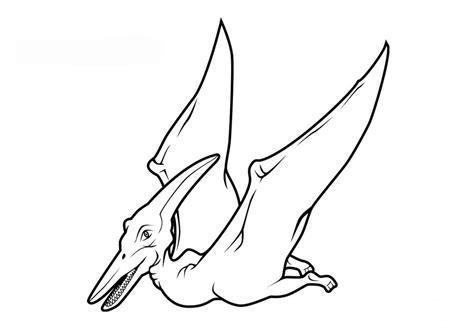 Cómo dibujar Un Dinosaurio Volador 】 Paso a Paso Muy Fácil 2023 - Dibuja  Fácil