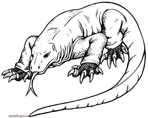 Dibujos del dragón de Komodo para colorear: Aprende a Dibujar y Colorear Fácil, dibujos de Un Dragon De Komodo, como dibujar Un Dragon De Komodo para colorear e imprimir