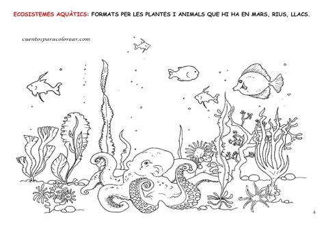 Els Ecosistemes Dibuixos | Ecosistema terrestre y acuatico: Dibujar y Colorear Fácil, dibujos de Un Ecosistema Para Niños, como dibujar Un Ecosistema Para Niños para colorear e imprimir