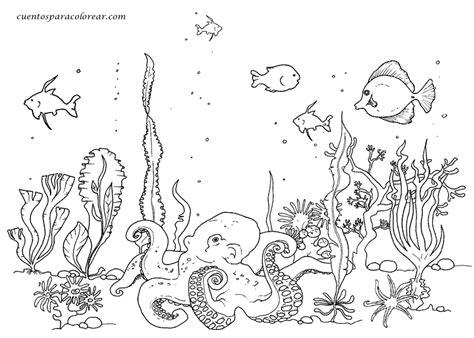 crbBc06Q9.gif (760×543) | Ecosistema terrestre y acuatico: Dibujar y Colorear Fácil, dibujos de Un Ecosistema Para Niños, como dibujar Un Ecosistema Para Niños para colorear