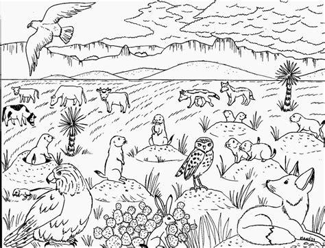BITACORA 2015: Ciencias Naturales para 4º Periodo II: Dibujar Fácil con este Paso a Paso, dibujos de Un Ecosistema Terrestre, como dibujar Un Ecosistema Terrestre para colorear