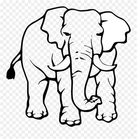Elephant Clipart Black And White - Elefante Africano Para: Dibujar y Colorear Fácil con este Paso a Paso, dibujos de Un Elefante India, como dibujar Un Elefante India para colorear