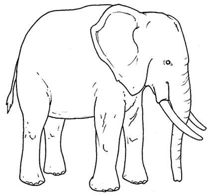 Dibujos para imprimir y colorear: Elefante para colorear: Dibujar y Colorear Fácil, dibujos de Un Elefante Real, como dibujar Un Elefante Real para colorear