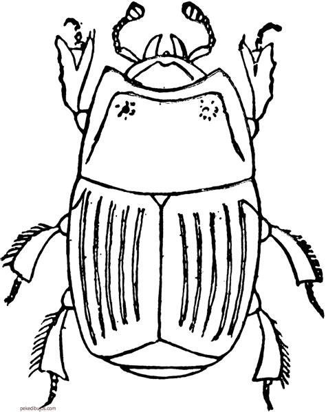 Dibujos de escarabajos para colorear: Dibujar Fácil con este Paso a Paso, dibujos de Un Escarabajo Para Niños, como dibujar Un Escarabajo Para Niños paso a paso para colorear
