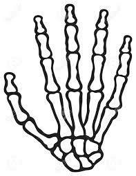 Resultado de imagen para como dibujar huesos en las manos: Aprende a Dibujar Fácil con este Paso a Paso, dibujos de Un Esqueleto En La Mano, como dibujar Un Esqueleto En La Mano paso a paso para colorear