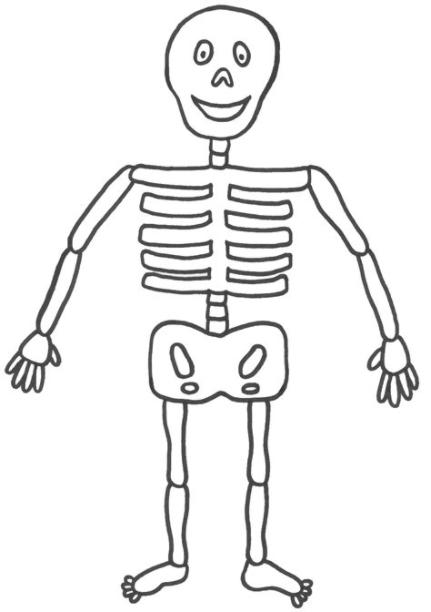 Pin on huesos humanos: Dibujar Fácil con este Paso a Paso, dibujos de Un Esqueleto Para Niños, como dibujar Un Esqueleto Para Niños paso a paso para colorear