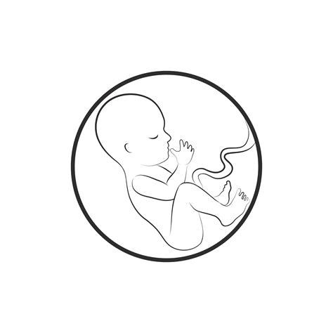 Signo de feto. Icono fetal. Embrión de diez semanas: Aprender a Dibujar Fácil con este Paso a Paso, dibujos de Un Feto, como dibujar Un Feto paso a paso para colorear