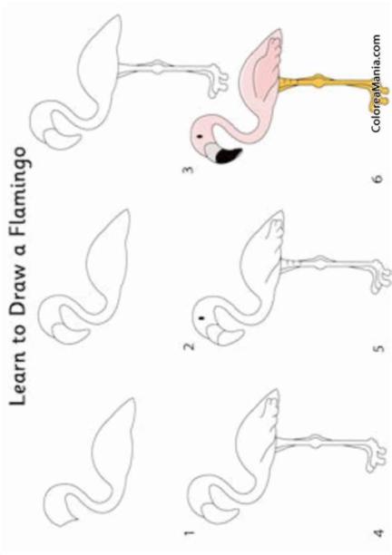 Dibujo Flamingo Para Colorear - Cheap Reviews Bread Machines: Aprende como Dibujar Fácil, dibujos de Un Flamenco En 6 Pasos, como dibujar Un Flamenco En 6 Pasos para colorear