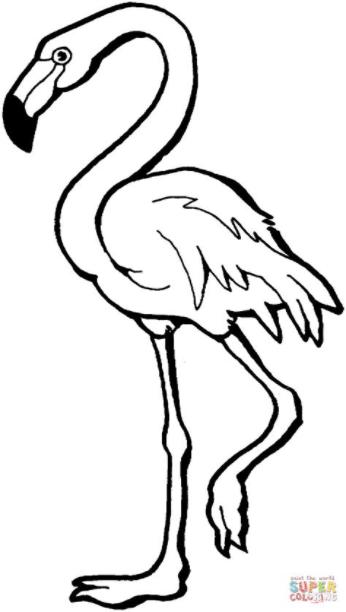 Dibujo de Flamenco Rosa para colorear | Dibujos para: Aprender a Dibujar y Colorear Fácil con este Paso a Paso, dibujos de Un Flamingo, como dibujar Un Flamingo para colorear e imprimir