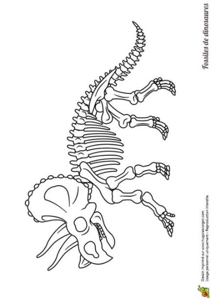 Colorear Fosil De Dinosaurio Dibujo | Dinosaur Drawing: Dibujar y Colorear Fácil, dibujos de Un Fosil, como dibujar Un Fosil para colorear