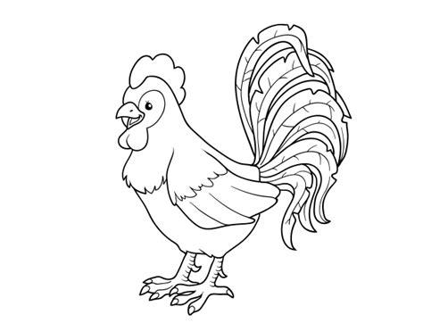 Dibujo de Gallo de una granja para Colorear - Dibujos.net: Dibujar y Colorear Fácil, dibujos de Un Gallo Portugues, como dibujar Un Gallo Portugues para colorear