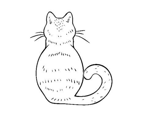 Dibujo de Gato de espaldas para Colorear - Dibujos.net: Dibujar y Colorear Fácil, dibujos de Un Gato De Espaldas, como dibujar Un Gato De Espaldas para colorear e imprimir