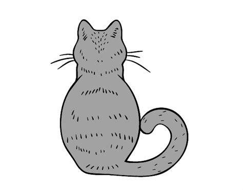 Dibujo de Gato de espaldas pintado por en Dibujos.net el: Aprende como Dibujar y Colorear Fácil, dibujos de Un Gato De Espaldas, como dibujar Un Gato De Espaldas para colorear