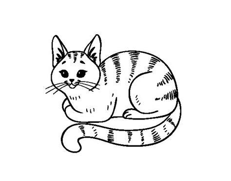 Desenho de Gato novo para Colorir - Colorir.com: Aprende como Dibujar y Colorear Fácil con este Paso a Paso, dibujos de Un Gato Echado, como dibujar Un Gato Echado para colorear e imprimir