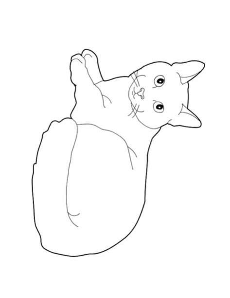 Imagenes De Gatos Bebes Para Colorear: Aprende como Dibujar Fácil con este Paso a Paso, dibujos de Un Gato Echado, como dibujar Un Gato Echado paso a paso para colorear