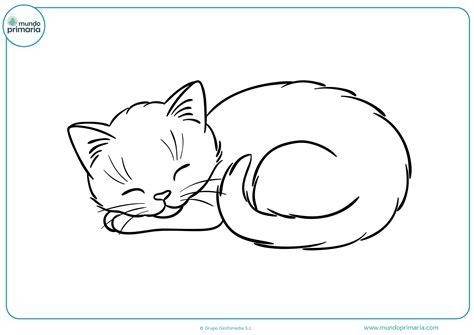 Dibujos de gatos para imprimir y colorear - Mundo Primaria: Aprende como Dibujar y Colorear Fácil con este Paso a Paso, dibujos de Un Gato Estilo Anime, como dibujar Un Gato Estilo Anime paso a paso para colorear