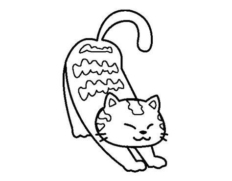 89 Dibujos de gatos para imprimir y colorear | Colorear: Dibujar Fácil con este Paso a Paso, dibujos de Un Gato Furry, como dibujar Un Gato Furry para colorear