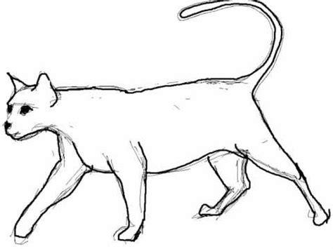 Como dibujar un gato paso a paso - Dibujos de animales: Dibujar Fácil con este Paso a Paso, dibujos de Un Gato Perfecto, como dibujar Un Gato Perfecto para colorear e imprimir