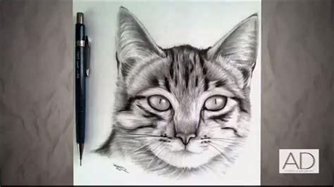 Como Dibujar Un Gato Realista Explicado Paso A Paso: Dibujar Fácil, dibujos de Un Gato Realista Explicado, como dibujar Un Gato Realista Explicado para colorear e imprimir