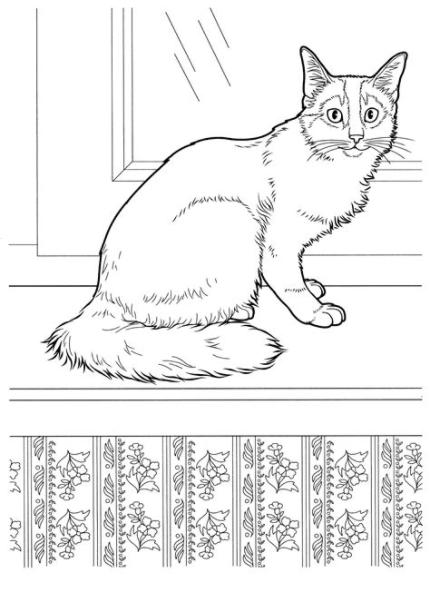 Dibujo para colorear - Gato somalí: Aprender como Dibujar Fácil con este Paso a Paso, dibujos de Un Gato Siames, como dibujar Un Gato Siames paso a paso para colorear